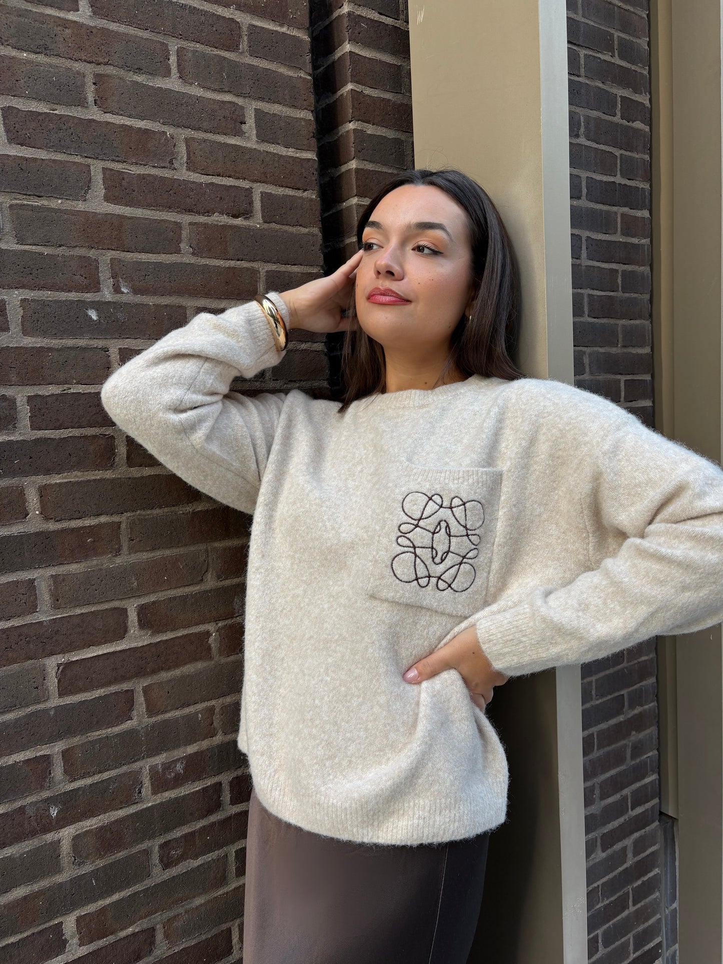 Pull oversize beige broderie poche marron