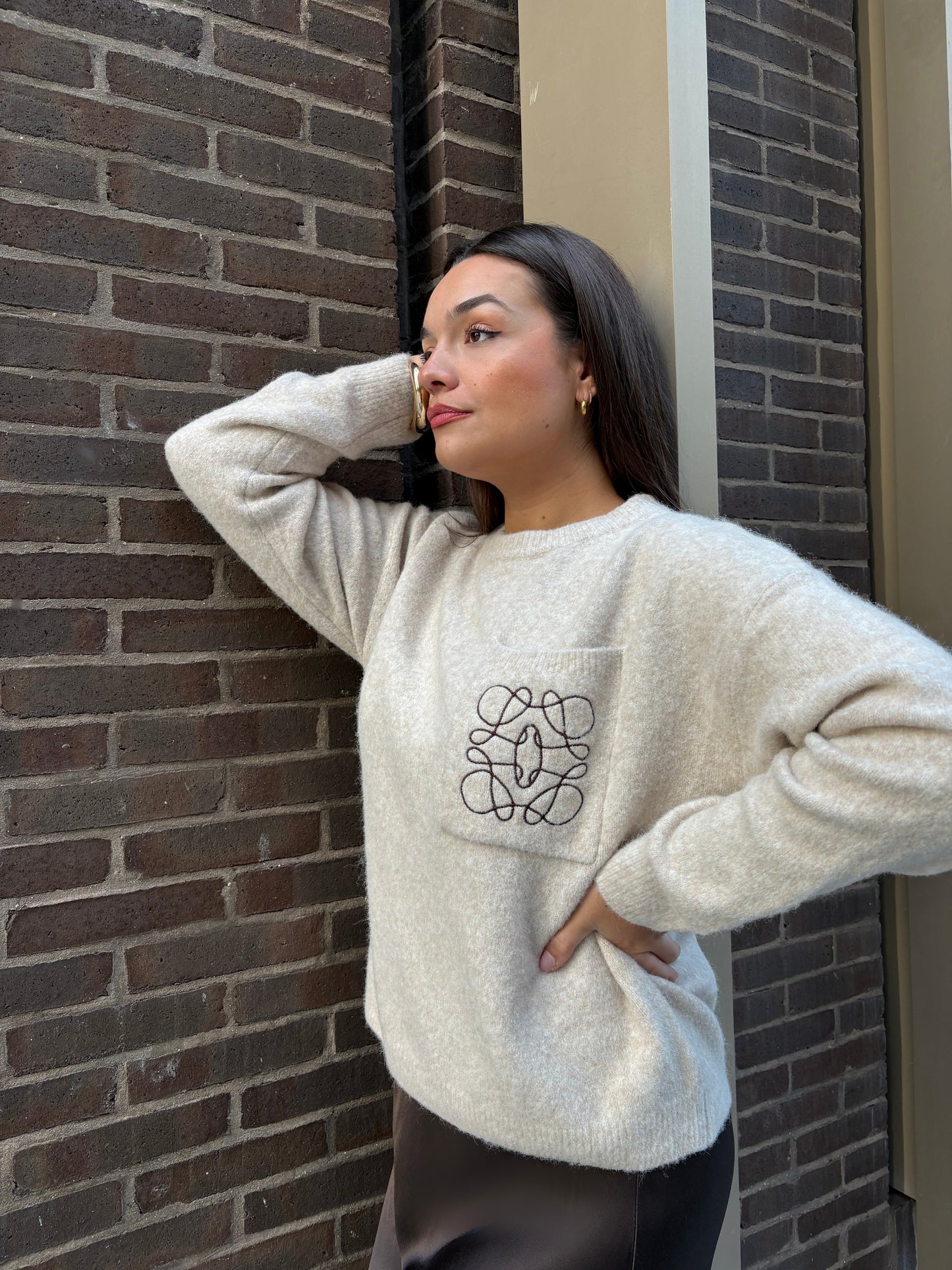 Pull oversize beige broderie poche marron